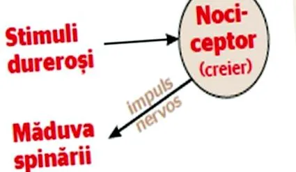 ваші болі