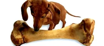 dörömböl