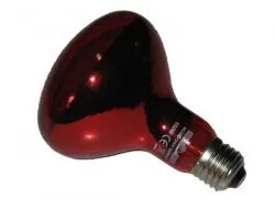 infralámpa