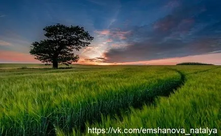 Most mi a teendő vele