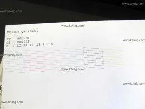 Érdekes tinktúra nyomtatás Epson nyomtató