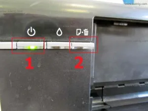 Érdekes tinktúra nyomtatás Epson nyomtató
