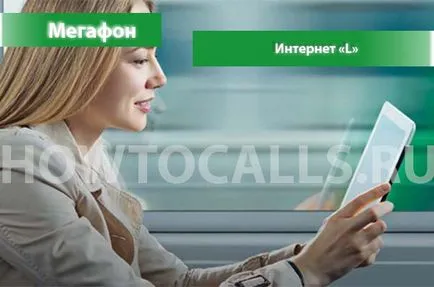 L interneten egy hangszóró - leírást, csatlakoztatását és szétválasztását az internet L a megafon