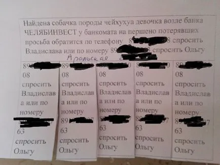 Én egy kutya
