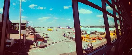 Hogyan lehet eljutni Sheremetyevo Domodedovo