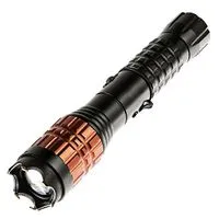 Hogyan és mennyit kell tölteni a kábító fegyvert szabályok és ajánlások - egy nagy vásár (Taser) Hogyan és mennyit kell tölteni a kábító fegyvert szabályok és ajánlások - egy nagy vásár