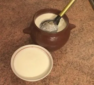 Mivel a tej, hogy a joghurt otthon receptek feltételek (záró) Mivel a tej, hogy a joghurt otthon receptek