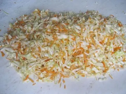 Hogyan készítsünk savanyú káposztát otthon - recept fotókkal