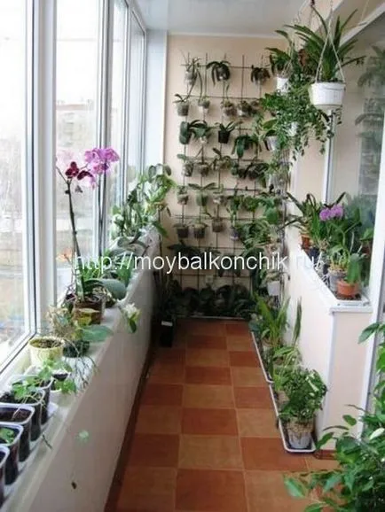 Hogyan gondoskodik az erkély vagy loggia (hogyan lehet rendezni az erkélyen) Hogyan gondoskodik az erkély vagy loggia