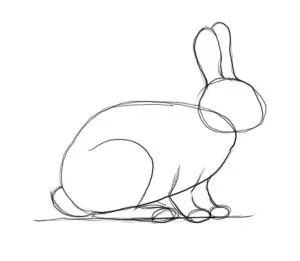 Hogyan kell felhívni a nyuszi 1 (nagyobb kör) Hogyan kell felhívni a nyúl 1