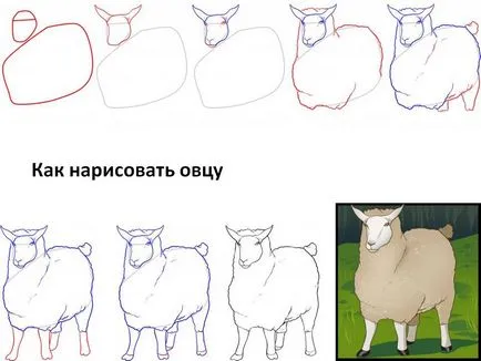 Hogyan kell felhívni a birka, juh és bárány (bárány ram döntetlen) Hogyan kell felhívni a bárány, juh és bárány