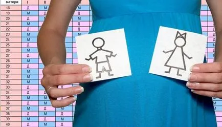Hogyan állapítható meg a neme a babának a jelzéseket (a gyermek) Hogyan állapítható meg a neme a babának jelei