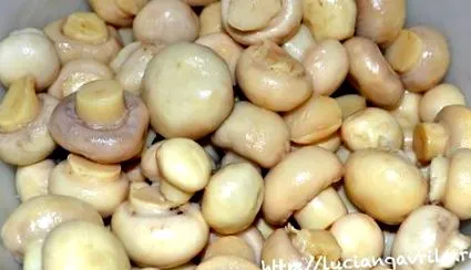 gomba