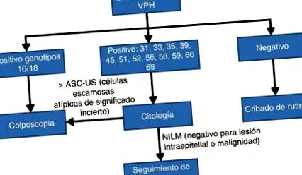 helmintox