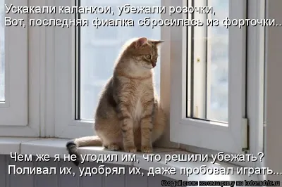 Hogyan leiratkozni üzenetek és idézi néhány barátot a kérdésekre (válaszok) Hogyan leiratkozni üzenetek és idézi néhány barátja kérdések megválaszolására