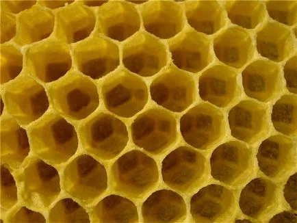 Hogy a méhek a méz folyamatának leírását, és kiemeli