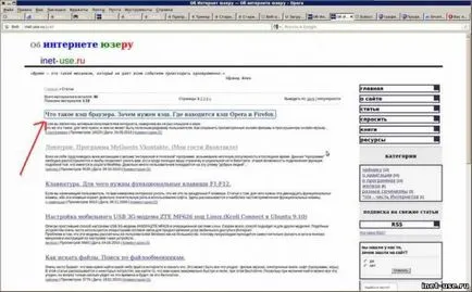 Hogyan kell használni az internetet a billentyűzet