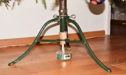 Hogyan tegyük egy élő karácsonyfa