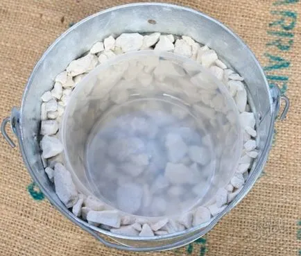 Hogyan tegyük egy élő karácsonyfa