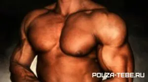Csakúgy, akkor pumpálni a mellizom