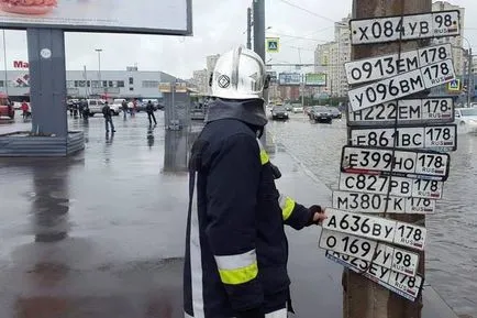 Hogyan erősít a rendszám az autó