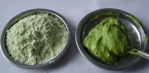 Hogyan kell főzni a wasabi por, útmutató az élethez (por) Hogyan kell főzni a wasabi por, a Life Guide