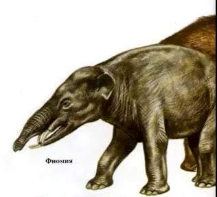 Hogyan alakult az evolúció az állatvilág, a dinoszauruszok, az evolúció (egy kicsit jobb, mint az átlag) Hogyan alakult az evolúció az állatvilág, a dinoszauruszok, evolúció