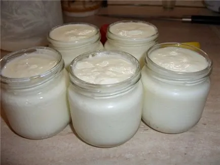 Hogyan kell elkészíteni a joghurt otthon (szakács) Hogyan kell elkészíteni a joghurt otthon