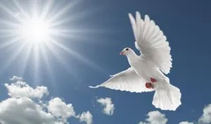Hogyan lehet fejleszteni a spirituális út az önfejlesztés (mit jelent, hogy dolgozzon lelkileg) Hogyan lehet fejleszteni a spirituális út az önfejlesztés
