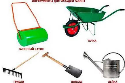 Hogyan növény gyep fű, helyszín előkészítése gyep - az életem