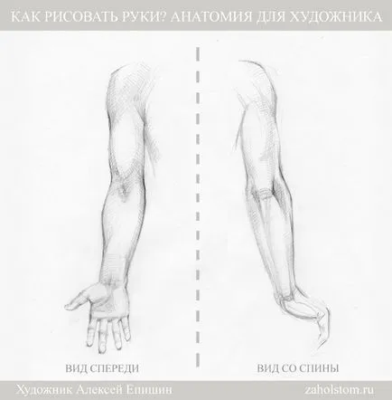 Hogyan kell felhívni a kezét Anatomy Művészek