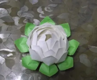 Hogyan lehet a papír lotus Női Tanácsok (Lotus) Hogyan lehet a papír lotus, női tanácsok