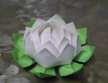 Hogyan lehet a papír lotus, női tanácsok (papír méretét 16x8) Hogyan lehet a papír lotus, női tanácsok