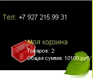 Hogyan kell rendelni online áruház