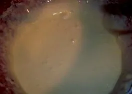 szeretettel