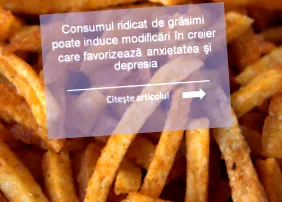 olyan zsírbevitel