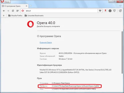 Hogyan kell menteni a kifejezett panel opera
