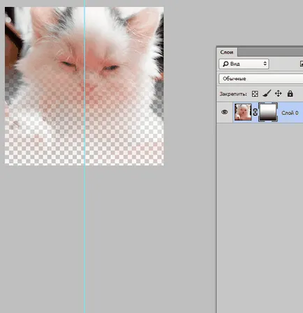 Hogyan hozzunk létre maszkrétegen Photoshop (réteg) Hogyan hozzunk létre a maszk réteg a Photoshop