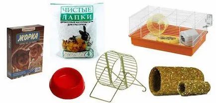 Hogyan törődik hörcsögök otthon