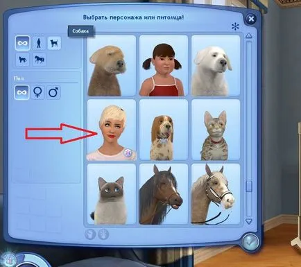 Hogyan kell telepíteni a Sims Sims 3 sims3pack és sim méret