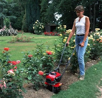 Hogyan válasszuk ki a kormányrúd szakértői ajánlások ( „Garden” hipermarketek „Leroy) Hogyan válasszuk ki a kormányrúd szakértői ajánlások