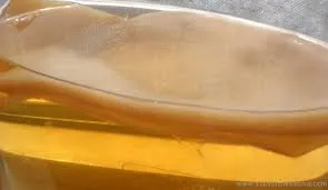 Hogyan növekszik a kombucha, a mester