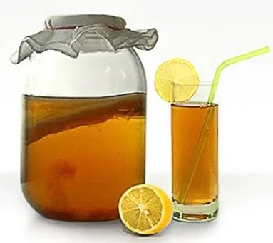 Hogyan növekszik a kombucha, a mester