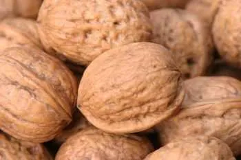 Hogyan lehet az olajtermelés