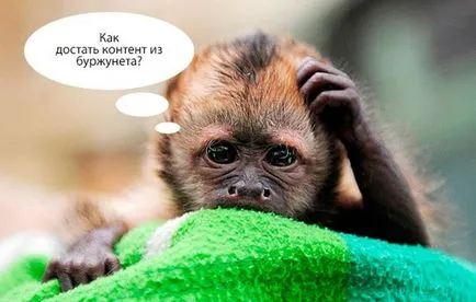 Hogyan juthat egyedi tartalmat burzhkneta - gyakorlati útmutató