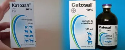 Katozal macskáknak - használati utasítás, ár, áttekintésre, helyén „bögre” (ár) Katozal macskáknak - használati utasítás, ár, áttekintésre, helyén „bögre”