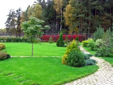 Fogó helyben, hogyan kell kezelni őket, kémiai és népi jogorvoslati megelőző (küzdelem) Kullancsok a helyszínen, hogyan kell harcolni velük, kémiai és népi jogorvoslat, megelőzés