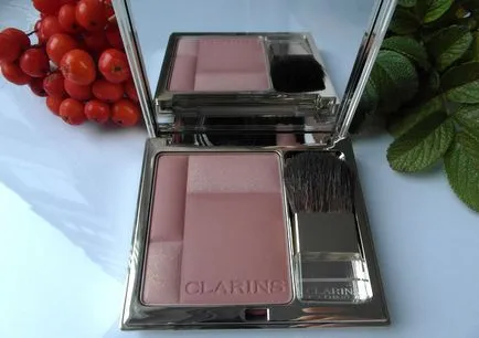 Kompakt rouge Clarinsés pirulni Prodige (árnyalat száma 05 rose wood) - vélemények, fényképek és ár (pirulás) Kompakt rouge Clarinsés pirulni Prodige (árnyalat száma 05 rose wood) - vélemények, fényképek és ár