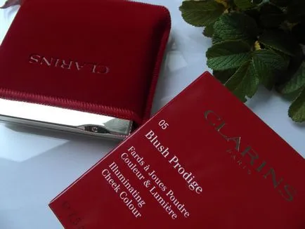 Kompakt rouge Clarinsés pirulni Prodige (árnyalat száma 05 rose wood) - vélemények, fényképek és ár (pirulás) Kompakt rouge Clarinsés pirulni Prodige (árnyalat száma 05 rose wood) - vélemények, fényképek és ár