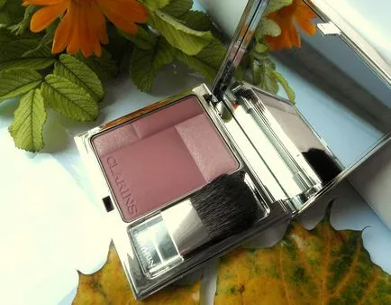 Kompakt rouge Clarinsés pirulni Prodige (árnyalat száma 05 rose wood) - vélemények, fényképek és ár (compact) Kompakt rouge Clarinsés pirulni Prodige (árnyalat száma 05 rose wood) - vélemények, fényképek és ár